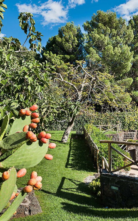 Villa Montefiore: Have