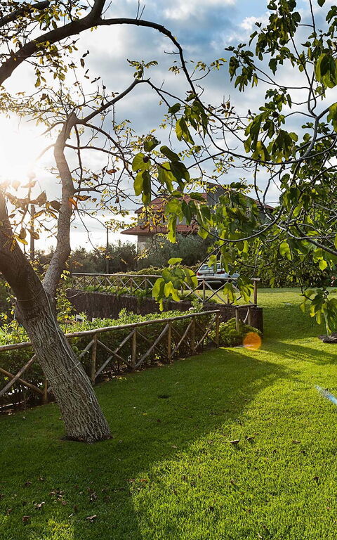 Villa Montefiore: Have