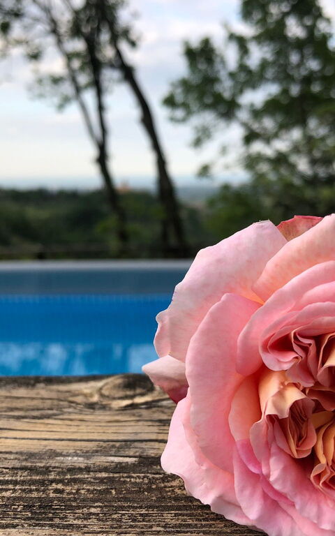 La Nocciola: pool, Udendørs