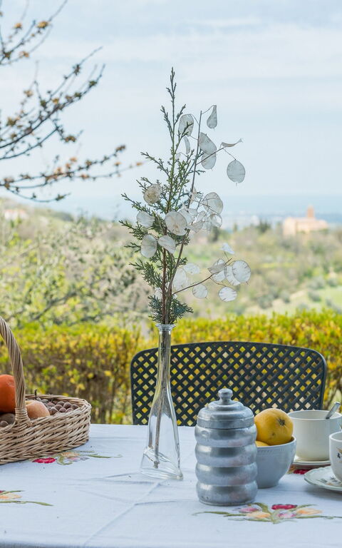 La Nocciola: Visninger