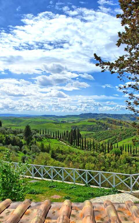 Santo Stefano: Visninger