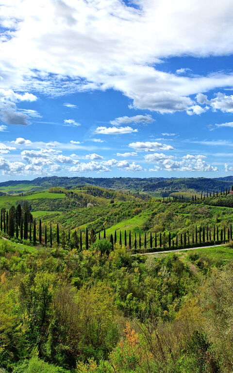 Santo Stefano: Visninger