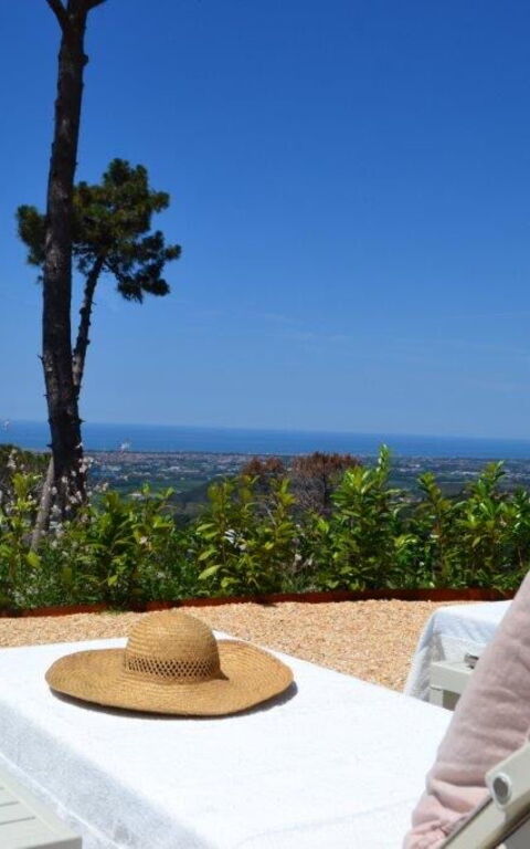 Casarosa Di Mariasole: Sommer, Udendørs