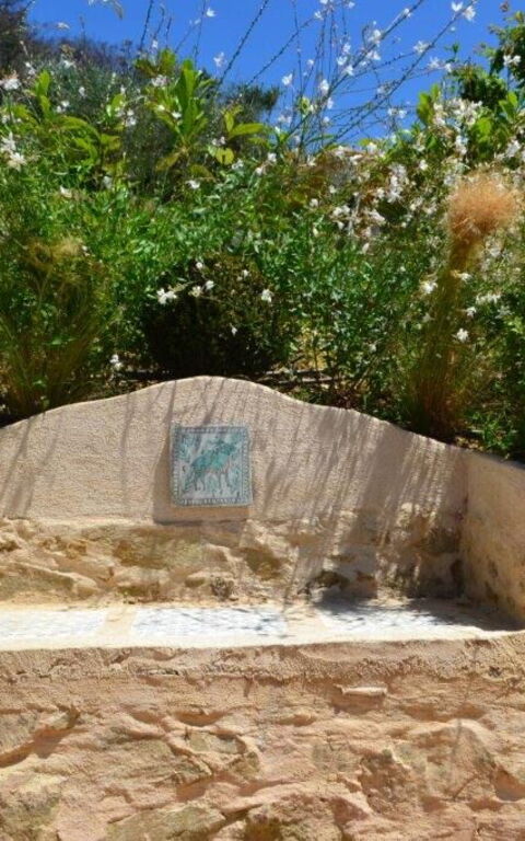 Casarosa Di Mariasole: Sommer, Udendørs