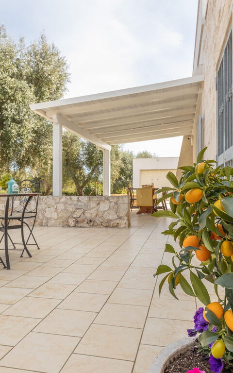 Villa Narkive: Altan / terrasse / gårdhave, Udendørs, Udvendige