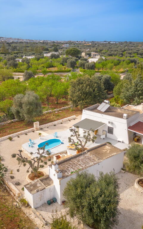 Villa Narkive: Have, Udvendige