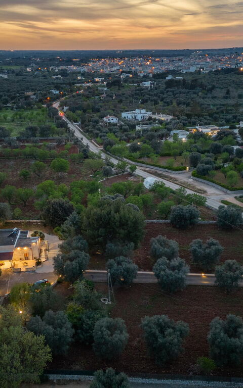 Villa Narkive: Udvendige