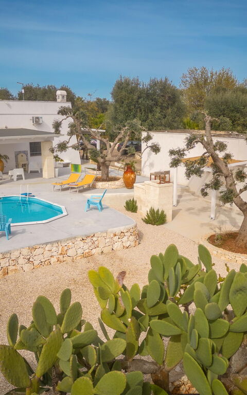 Villa Narkive: Have, Hovedindgang, Udendørs