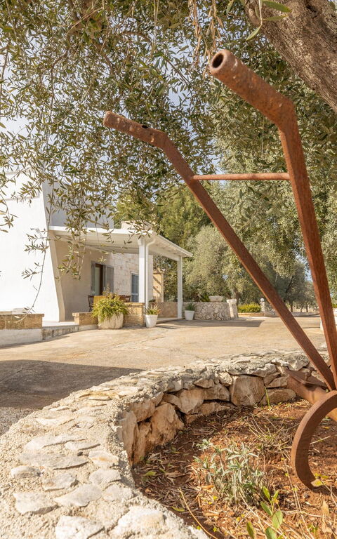 Villa Narkive: Have, Udendørs, Udvendige