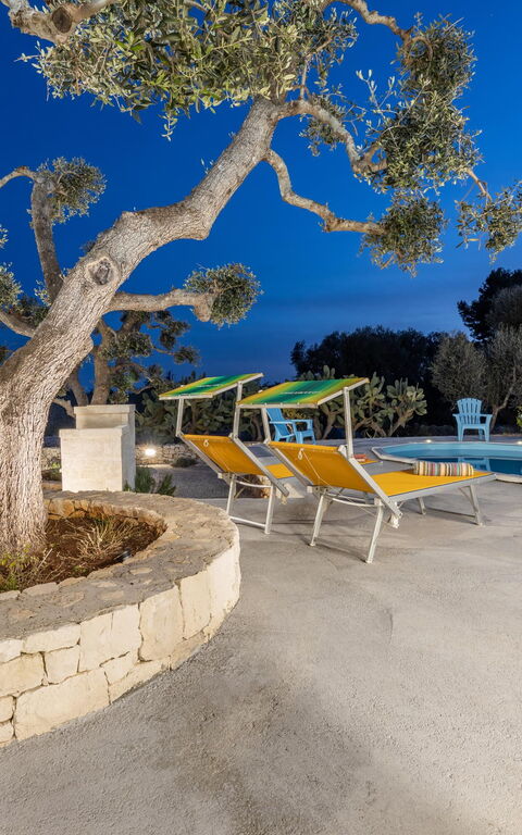 Villa Narkive: pool, Visninger