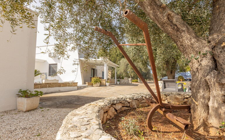 Villa Narkive: Have, Udendørs, Udvendige