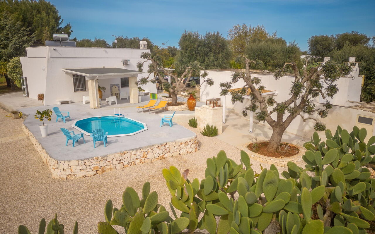 Villa Narkive: Have, Hovedindgang, Udendørs