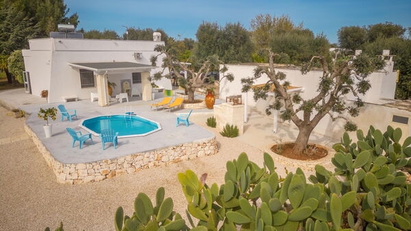 Villa Narkive: Have, Hovedindgang, Udendørs