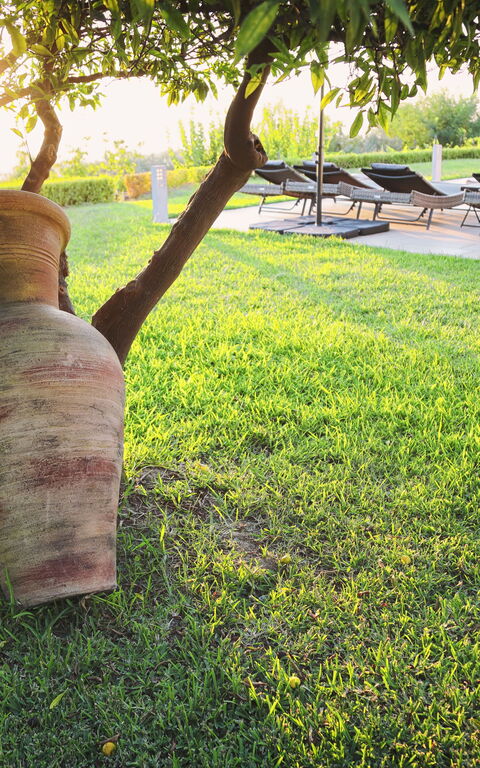 Villa Malu: Have, Udendørs, Udvendige