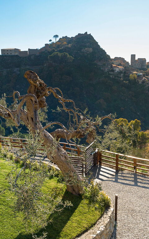 Zagara Bianca: Have, Udendørs, Udvendige, Visninger