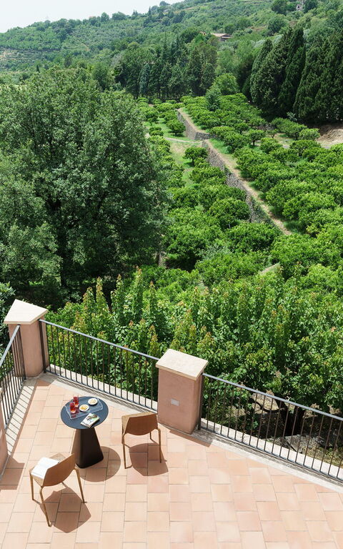 Tenuta Della Contea: Have, Udendørs, Udvendige