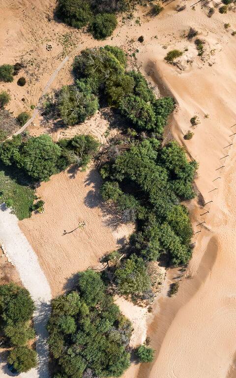 Casa Dafne: Visninger