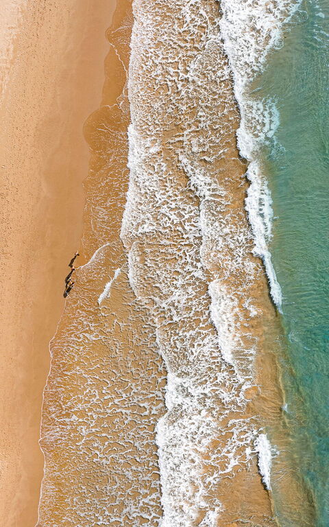 Casa Dafne: Visninger