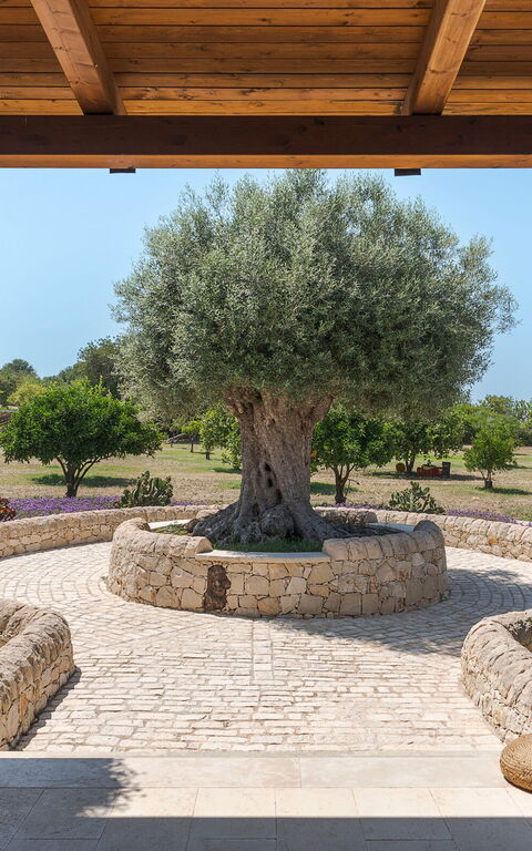 Pigna Blue: Udendørs, Udvendige