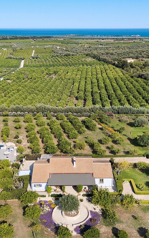 Pigna Blue: pool, Visninger