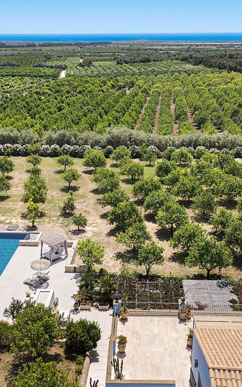 Pigna Blue: pool, Visninger