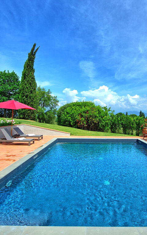 Villa Marliana: pool