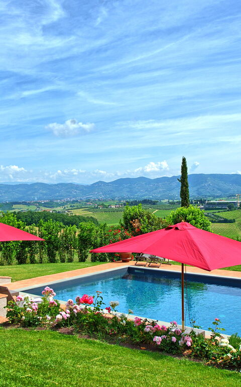 Villa Marliana: pool