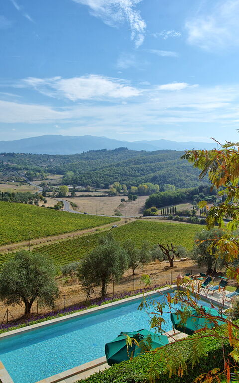 Villa Cona: Have, pool, Udendørs, Udvendige