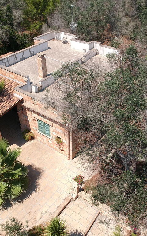 Villa Astrea: Have, Udendørs