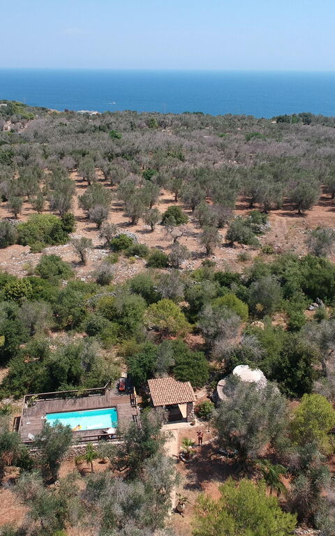 Villa Astrea: Udendørs