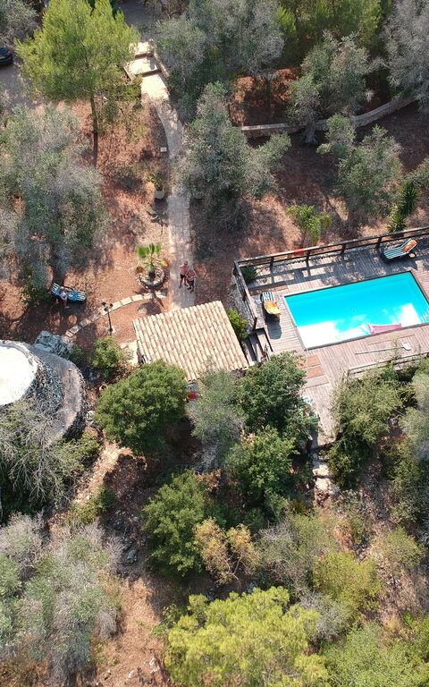 Villa Astrea: Udendørs