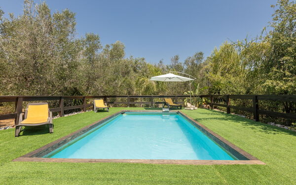 Villa Astrea: Have, pool, Udendørs, Udvendige