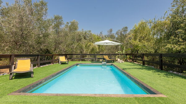 Villa Astrea: Have, pool, Udendørs, Udvendige