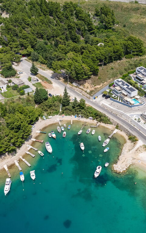 Villa Loma: Visninger