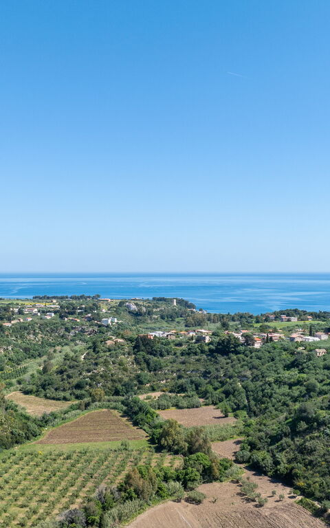 Villa Demetra: Visninger