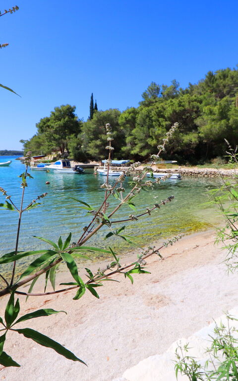 Villa Emerald: Aktiviteter, Visninger