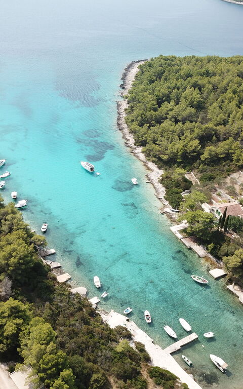 Villa Emerald: Visninger