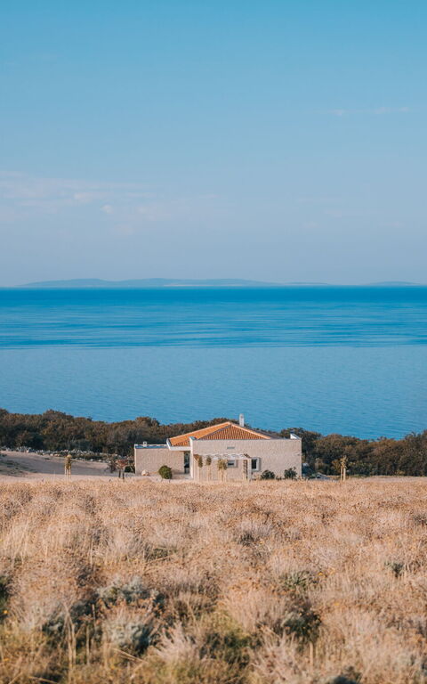 Villa Steropa: Visninger