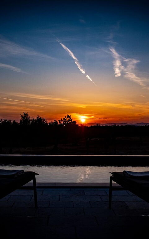 Villa Diana: Visninger