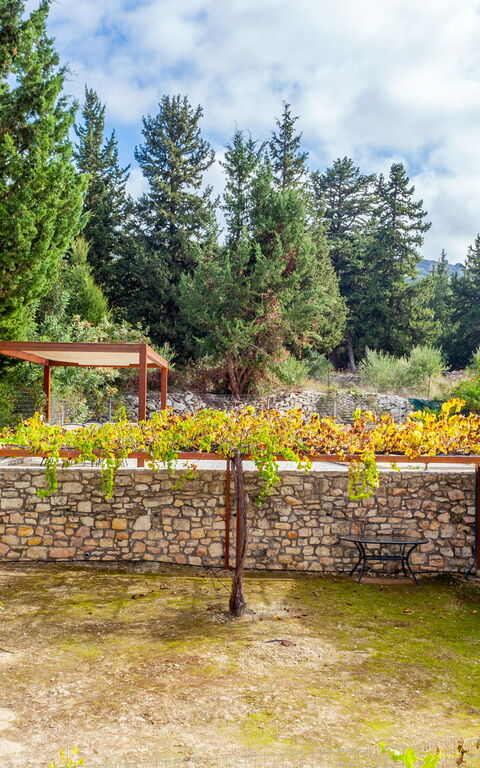 Villa Giorgos: Have, Udendørs, Udvendige