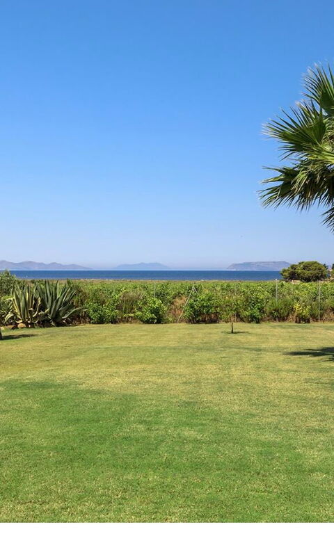 Villa Casale: Have, Udendørs, Udvendige