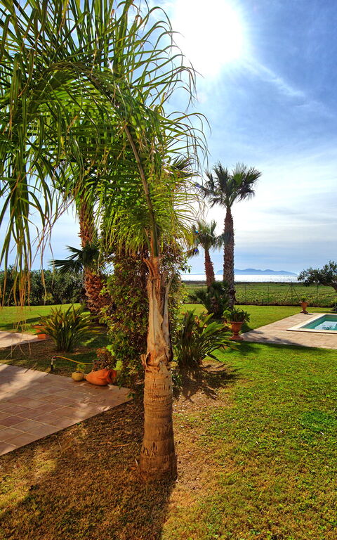 Villa Casale: Have, pool, Udendørs, Udvendige