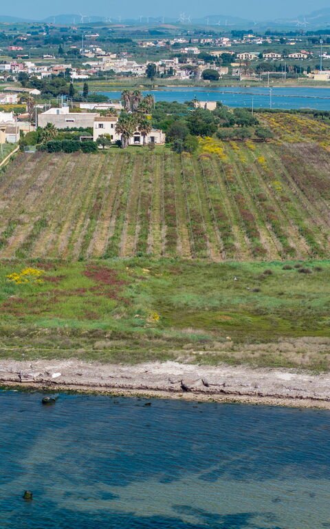 Villa Casale: Visninger