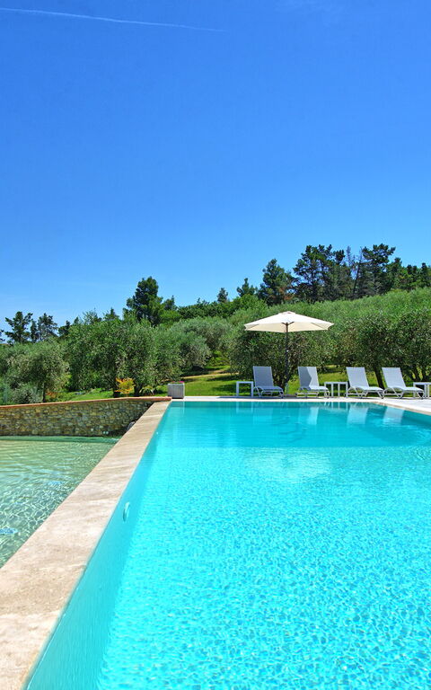 Villa Acquaviva: pool, Sommer, Udendørs