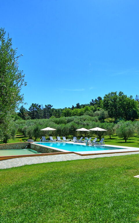 Villa Acquaviva: Have, pool, Sommer, Udendørs