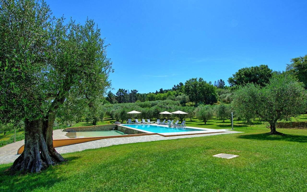Villa Acquaviva: Have, pool, Sommer, Udendørs