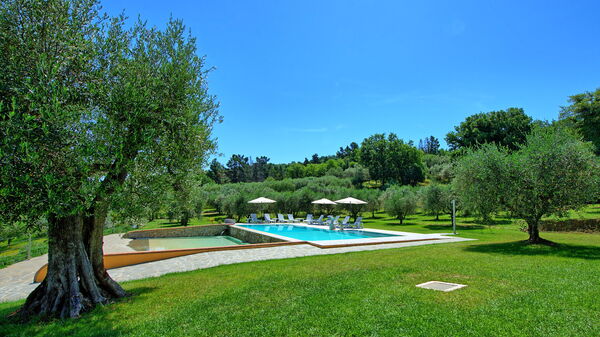 Villa Acquaviva: Have, pool, Sommer, Udendørs