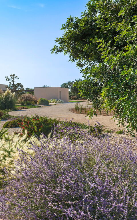 Villa Passo Salina: Have