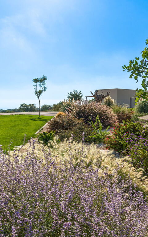 Villa Passo Salina: Have