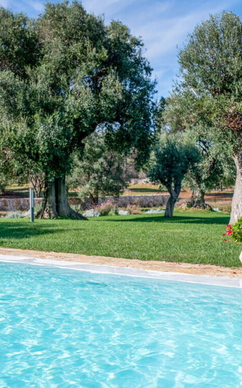 Tenuta Palù: Have, pool
